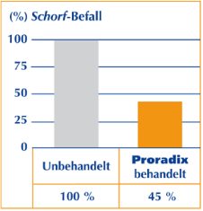 Diagramm: Schorf-Befall bei Proradix behandelten Kartoffeln um 55% reduziert